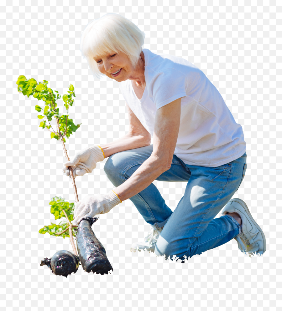 Pin - Cut Out People Garden Png,Garden Png