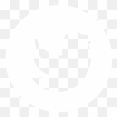 Ben Night Is Alive U2013 - Twitter White Icon Transparent png