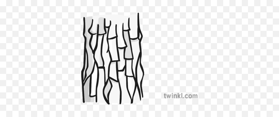 Tree Bark Black And White Illustration - Twinkl Tree Bark Illustration Png,Tree Bark Png