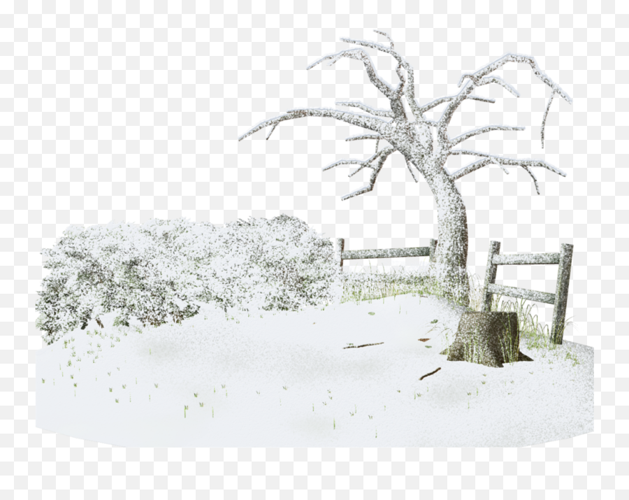 Snow Winter Storm Tree - Winters Png Download 1024791 Givre Paysage Hiver Tube Centerblog Png,Snow Storm Png
