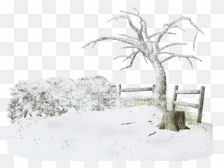 Snow Winter Storm Tree - Winters png download 1024791 Givre Paysage Hiver Tube Centerblog Png