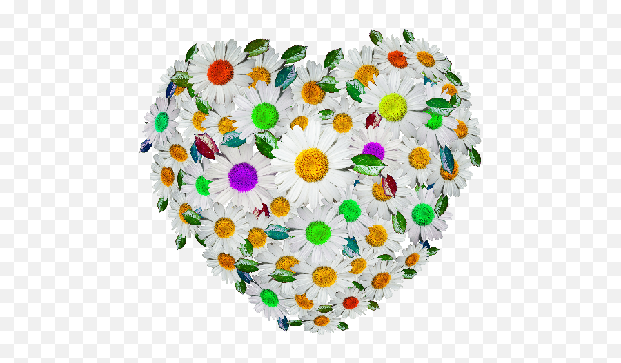 Cute Floral Heart Png Image - Circle,Floral Pattern Png