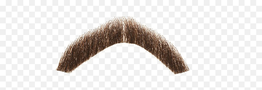 Fake Moustache Png Pic - Real Mustache Png,Fake Mustache Png