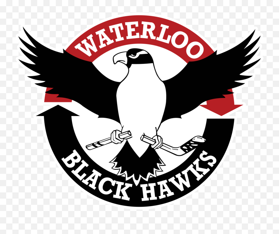 Waterloo Black Hawks - Waterloo Black Hawks Png,Blackhawks Logo Png