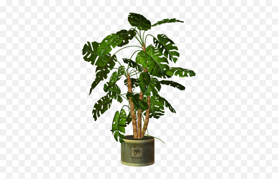 Download Pot Plant Clipart Transparent - Plants In Pot Png,Weed Plant Png
