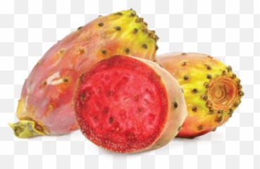 Prickly Pear Png 2 Image - Prickly Pear Tobacco,Pear Png