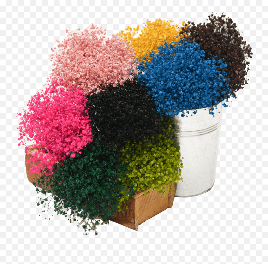 Baby - Bouquet Png,Baby's Breath Png