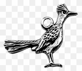 Roadrunner - Roadrunner Png,Road Runner Png