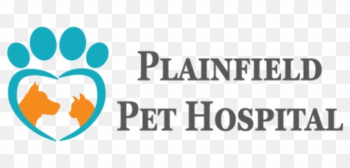 Animal Hospital In Grand Rapids Mi Plainfield Pet - Pets Hospital Logo Png,Pet Logo