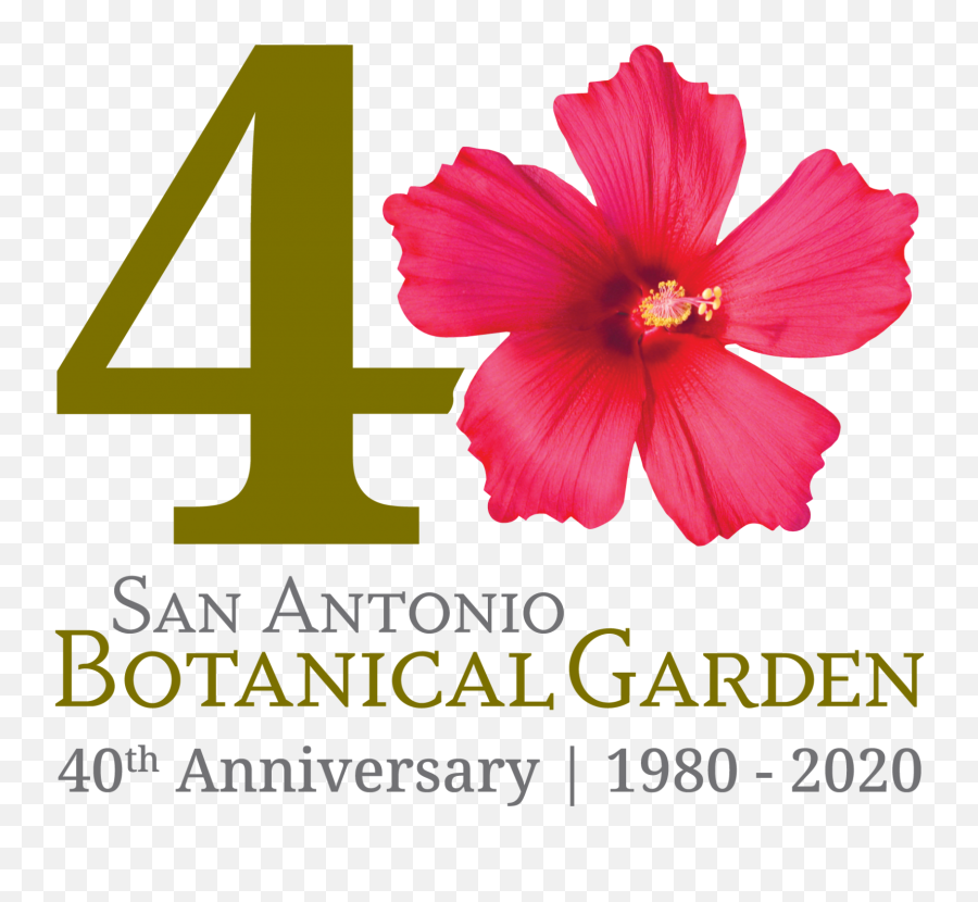 San Antonio Botanical Garden Offering Free Admission And - San Antonio Botanical Garden Png,Botanical Png