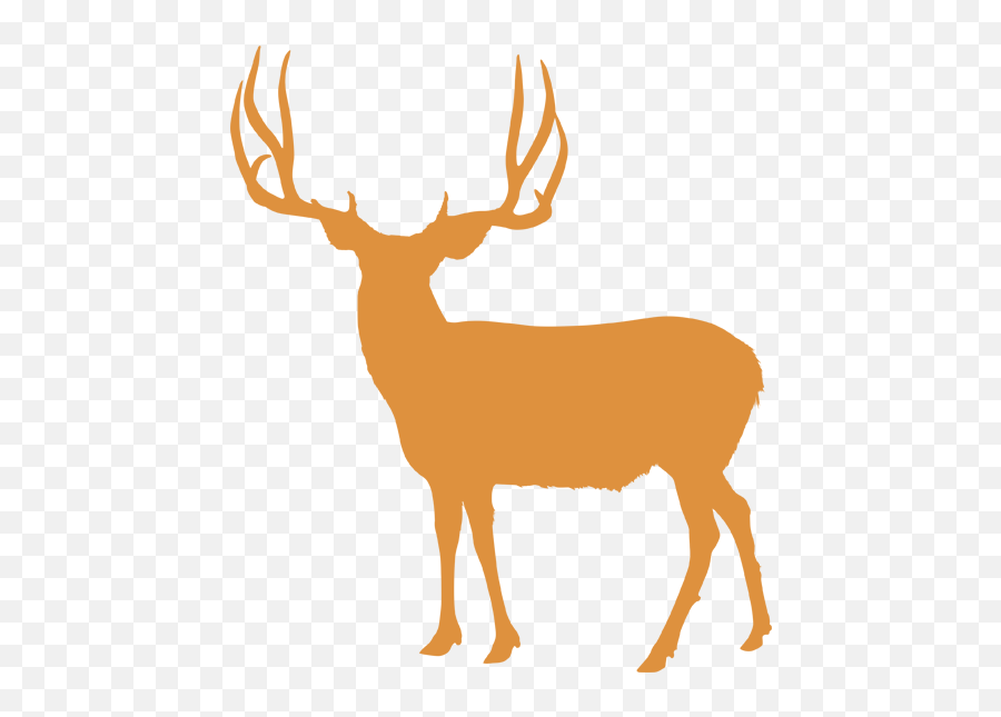 Elk White - Tailed Deer Reindeer Utah Deer Antler Png Silhouette Deer Hooves Clipart,Deer Antler Png