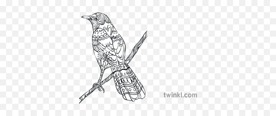 Mockingbird Avian Bird Texas Animal States United Usa - Sketch Png,Mockingbird Png