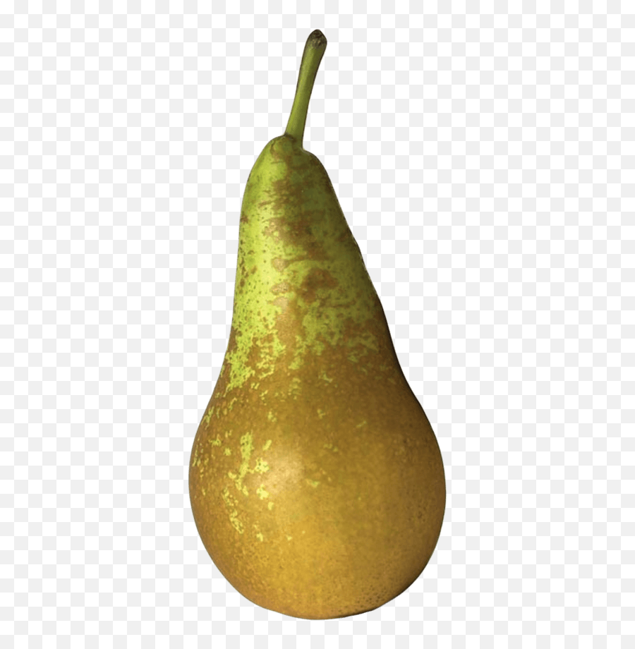 Download Bosc Pears 3 Units - Paron Arkansas Png Image With Saba Banana,Pears Png