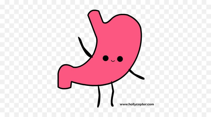Download Hd 4593 Original - Cartoon Stomach Png,Stomach Png