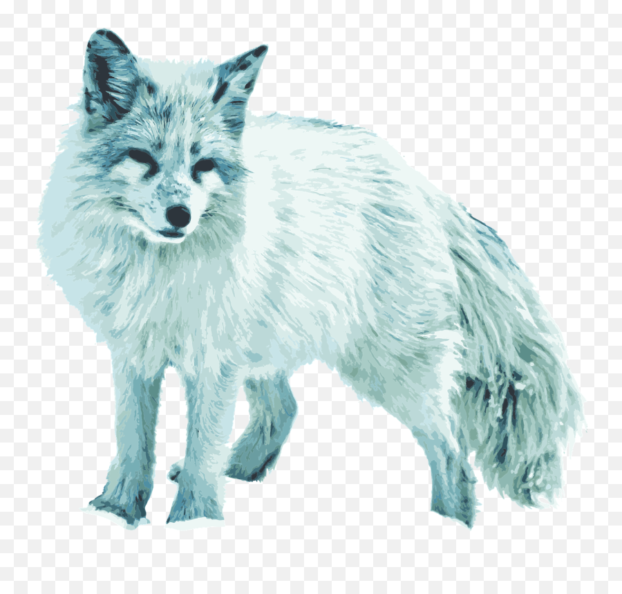 Arctic Fox White - Snow Creatures Png,Arctic Fox Png