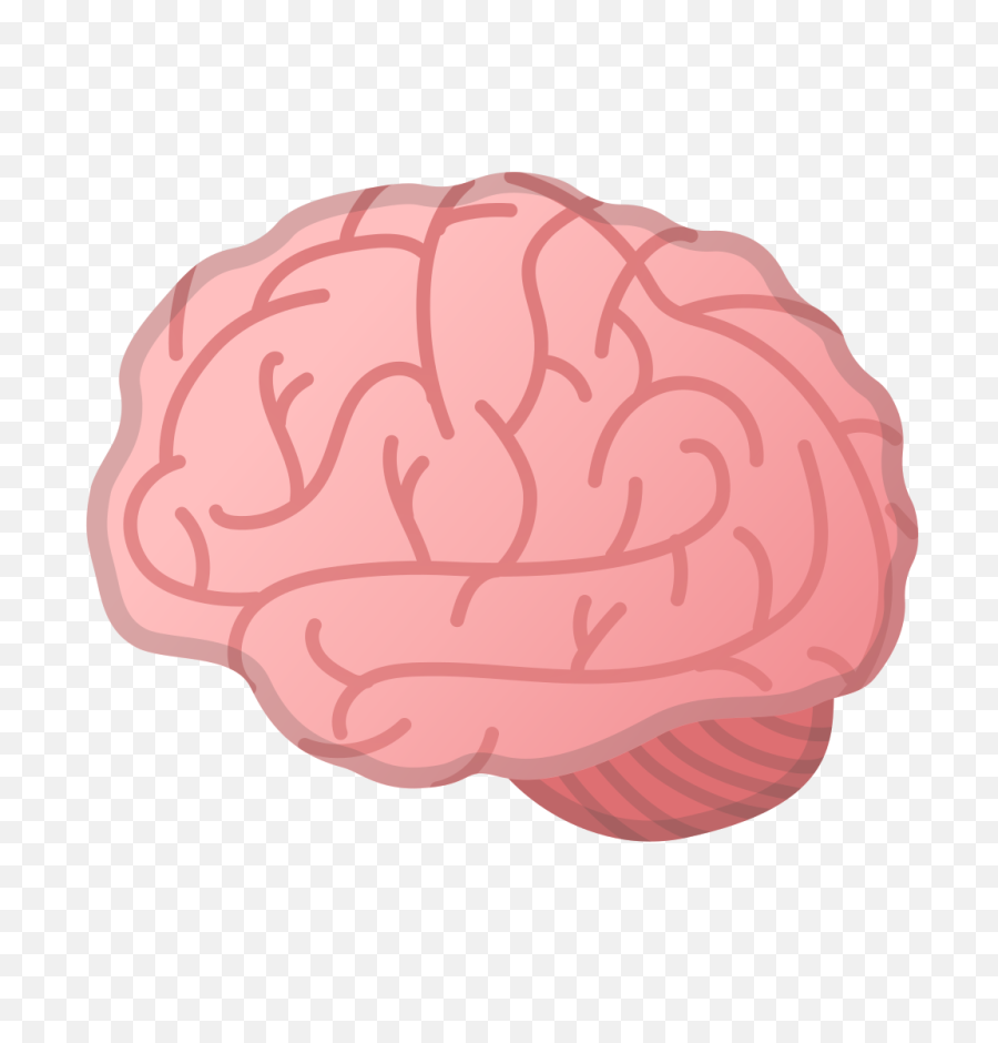 Brain Free Icon Of Noto Emoji Clothing - Brain Emoji Png,Brain Icon Png