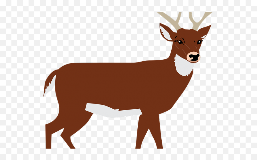 Transparent Deer Clipart - Brown Deer Clipart Png,Deer Transparent