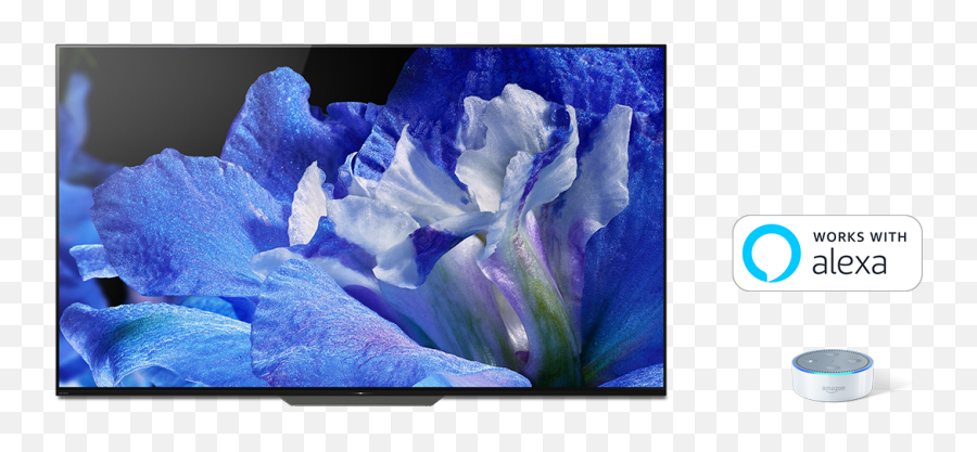 Sony Smart Tv - Sony 65a8f Png,Flat Screen Tv Png