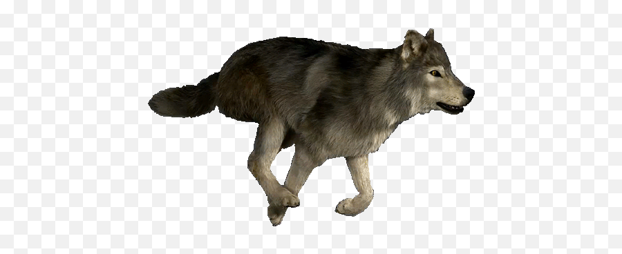 The - Wolfclan Animated Gif Wolf Running Png,Wolf Transparent Background