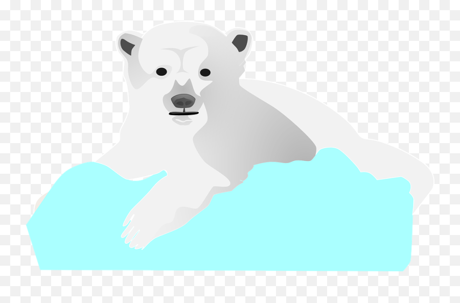 Ice Bear Polar - Kutub Es Vektor Png,Ice Bear Png