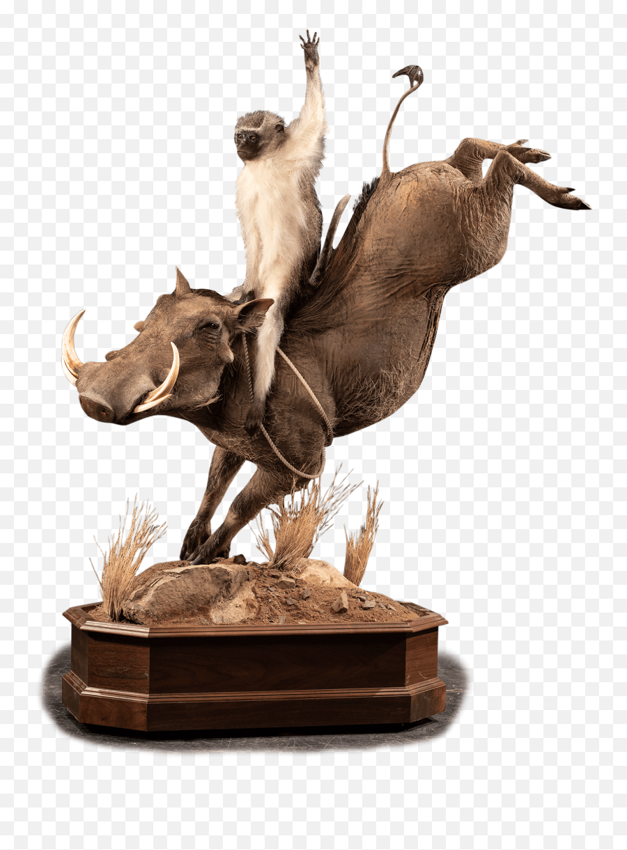 Our - Animal Figure Png,Warthog Png