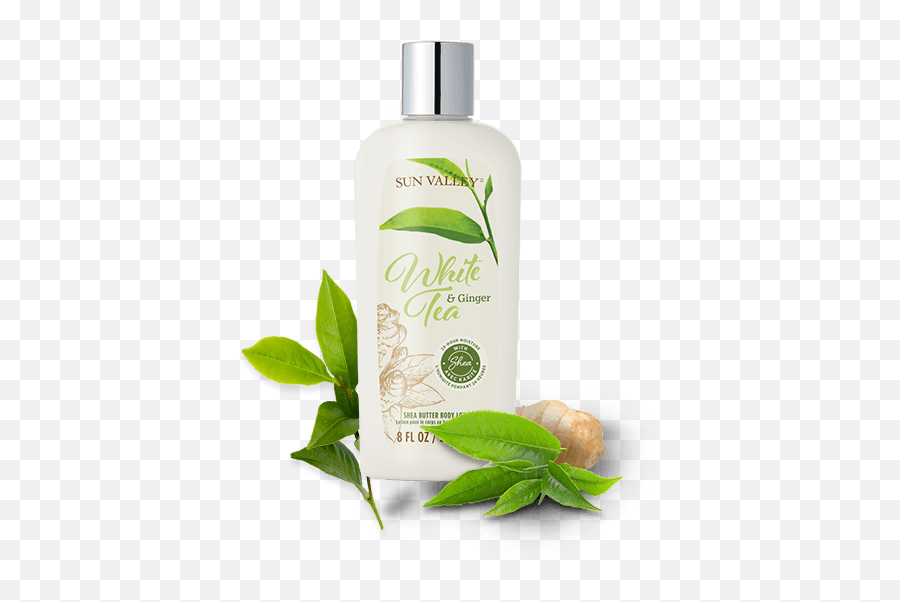 Sun Valley Shea Butter Body Lotion - Skin Care Png,Lotion Png