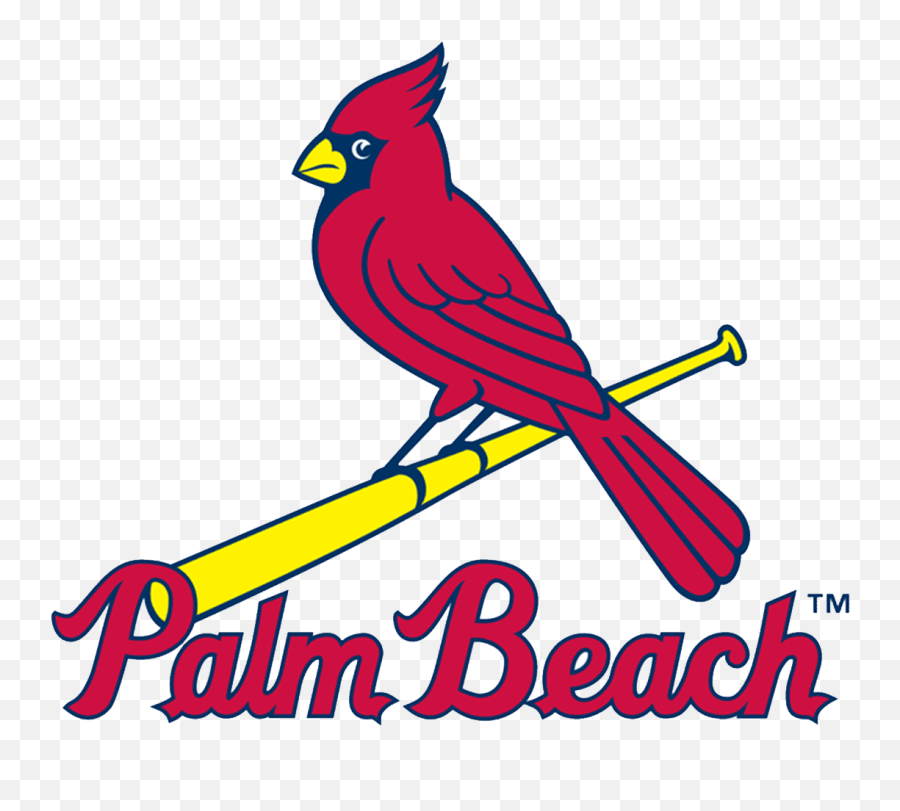 Palm Beach Cardinals Logo And Symbol - St Louis Cardinals Png,Cardinals Logo Png
