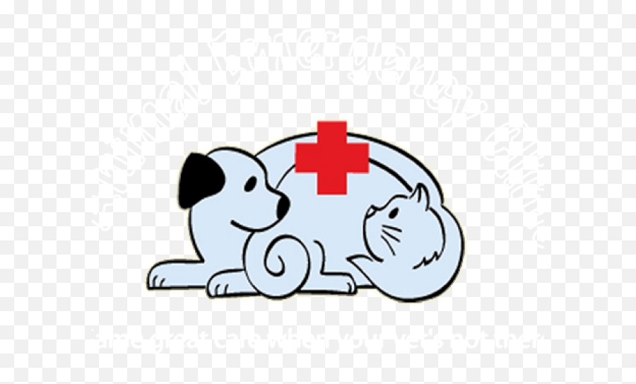 Library Clipart Veterinarian - Sophieu0027s Veterinary Clinic Urgent Care Center Png,Veterinarian Png