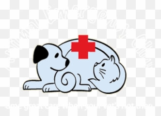 Library Clipart Veterinarian - Sophieu0027s Veterinary Clinic Urgent Care Center Png,Veterinarian Png