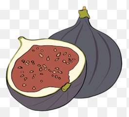 Home The Proud Sicilian Harborne - Superfood Png,Fig Png