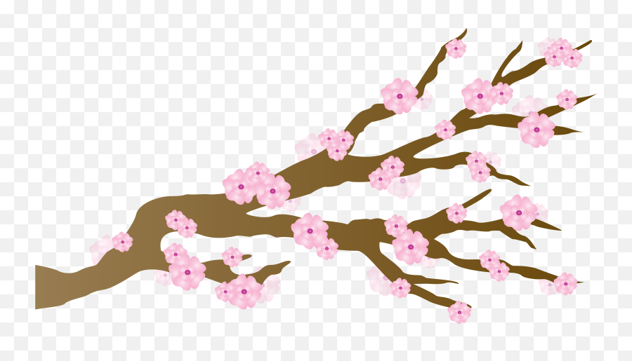 Japan Clipart Cherry Blossom Picture 1434098 - Cartoon Cherry Blossom Tree Png,Cherry Blossom Branch Png