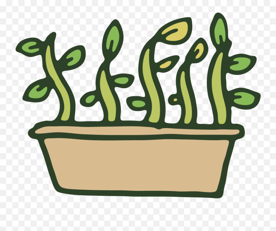 Mgv - Propagation Clipart Png,Plant Icon Image Clip Art