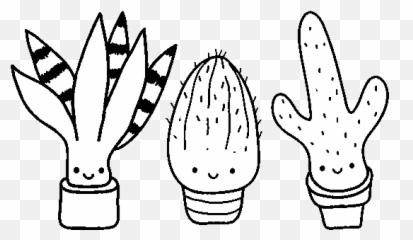 Mini Cactus Coloring Page - Fruit Png