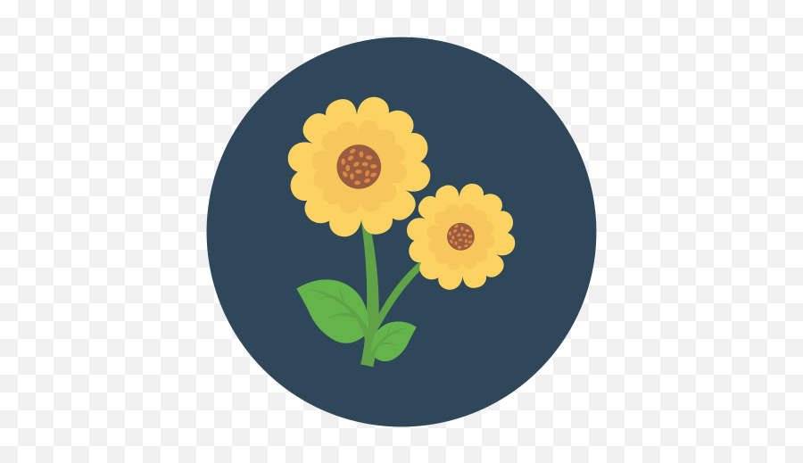 Flower - Free Nature Icons Fresh Png,Wildflower Icon