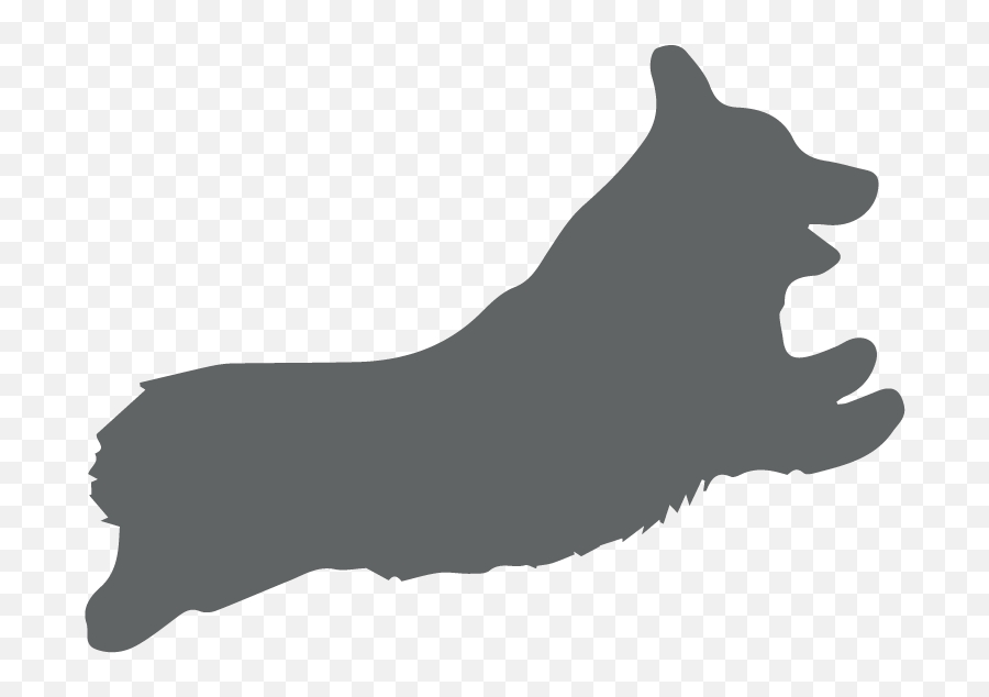 Dog Walking U2014 Shop Pup And Running - Northern Breed Group Png,Dog Head Icon