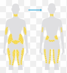 Fat Man Png - Cells In The Body