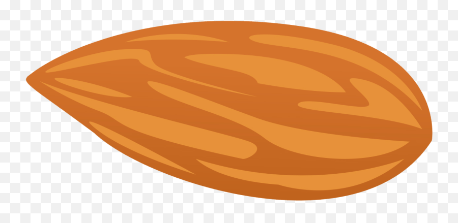 Library Of Tree Nuts Graphic Royalty - Almond Illustration Png,Almonds Png