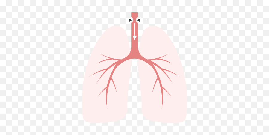 Internal Medicine Category Differential Diagnosis Of Png Jt E - icon Marker