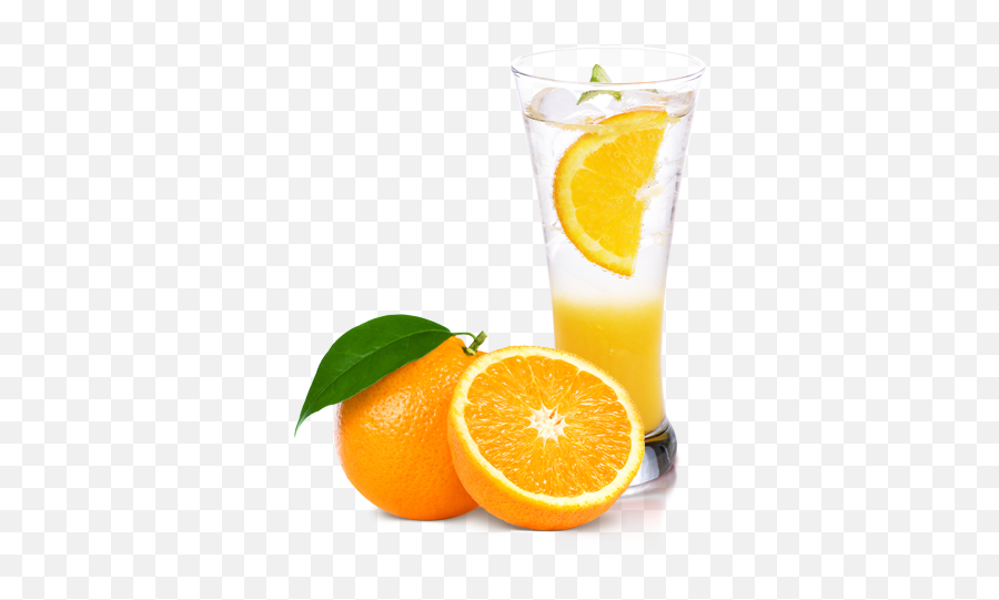 Orange Slice Png Transparent Image - Fruits What We Eat,Orange Slice Png