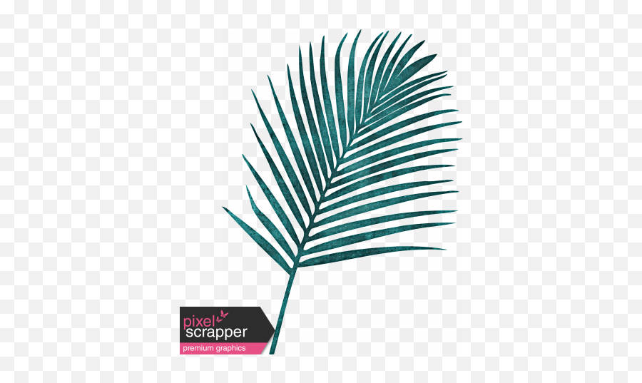 Winter In The Tropics Palm Leaf Graphic By Jessica Dunn - Blue Palm Tree Leaf Png,Tropical Leaf Png