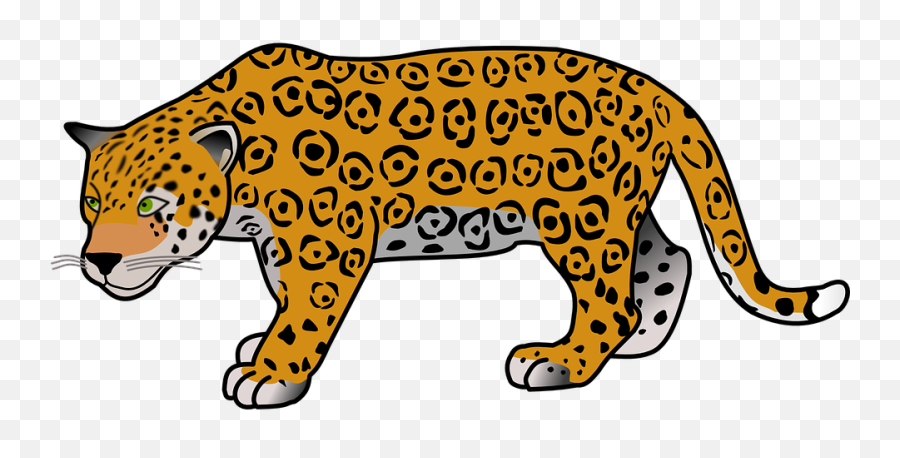 Walking Jaguar Png Transparent Picture - Cheetah Clipart,Jaguar Png