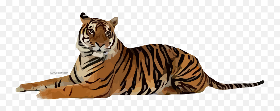 Png Image Download Tigers Hq - Tiger Png,Tigers Png