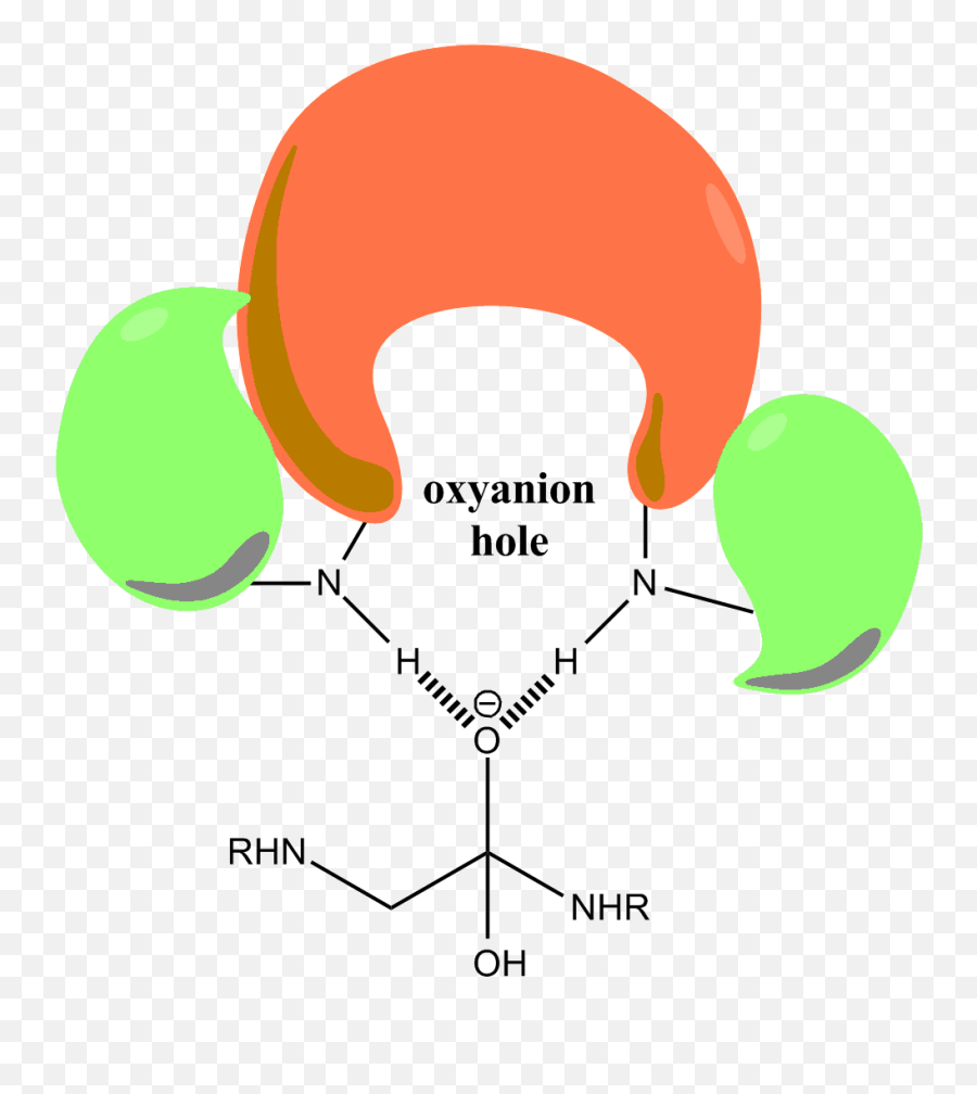 Oxyanion Hole - 4 Png,Hole Png