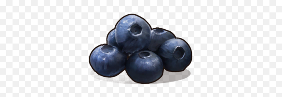 Blueberries - Rust Blueberries Png,Blueberries Png