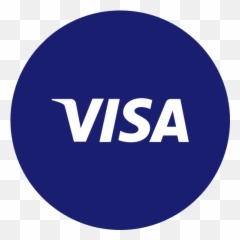Circle Payment Round Icon Visa - png