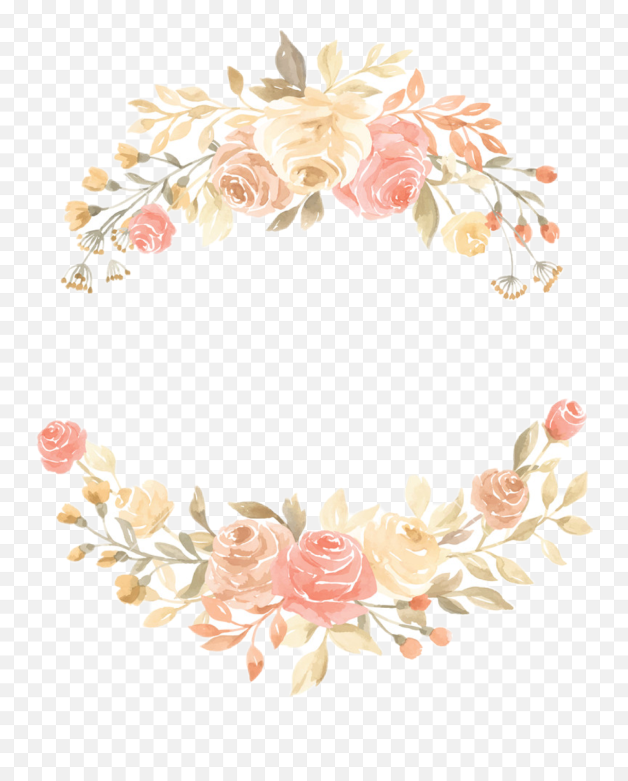 Watercolor Roses Flowers Floral Sticker By Stephanie - Hybrid Tea Rose Png,Watercolor Wreath Png