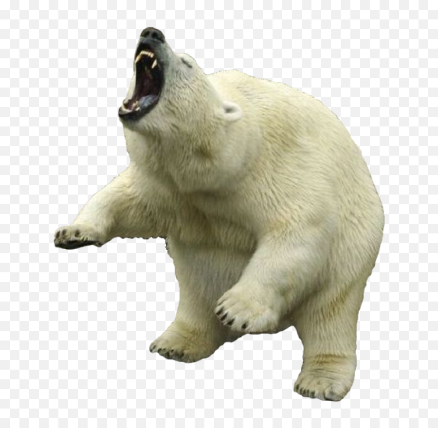 Polar Bear Png Clipart - Transparent Polar Bear Png,Polar Bear Transparent Background