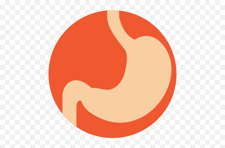 Stomach - Whitechapel Station Png,Stomach Png