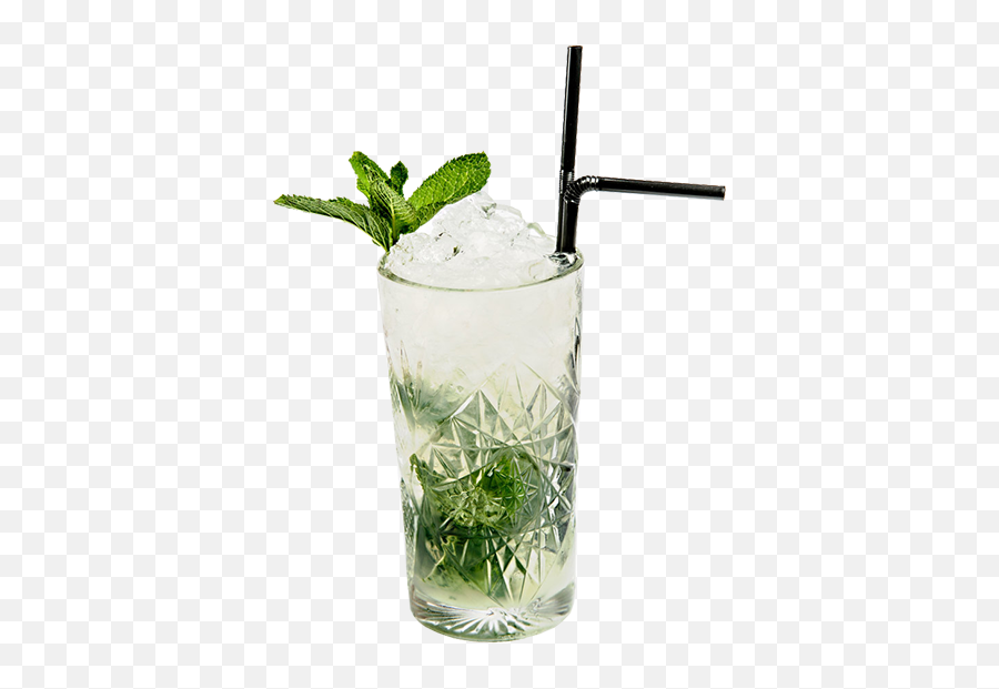 Mojito Apple N Elderflower - Elderflower Apple Mojito Png,Mojito Png