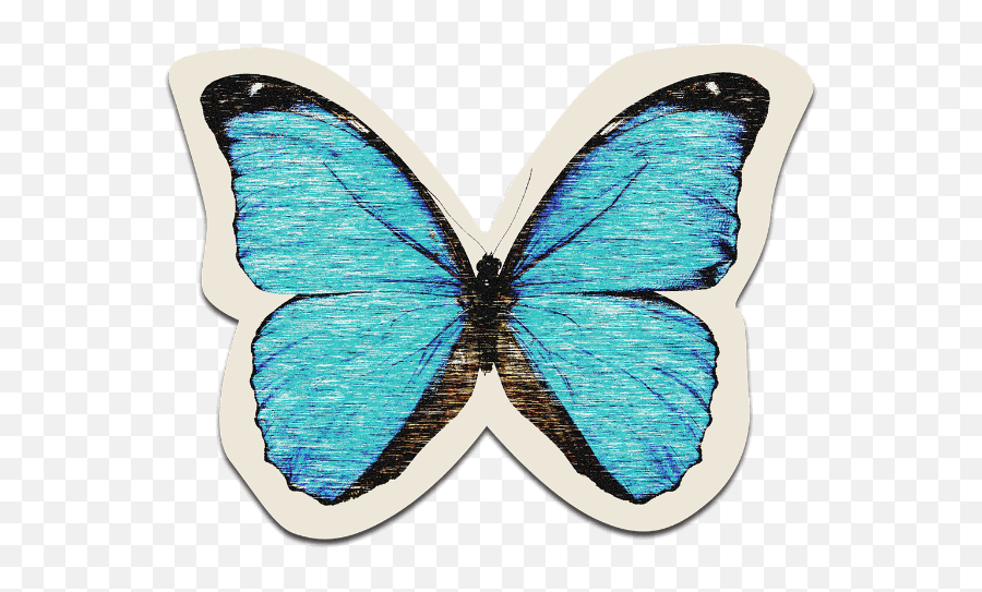 Online Butterfly Retro Animal Sticker - Butterfly Life Is Strange Png,Retro Png